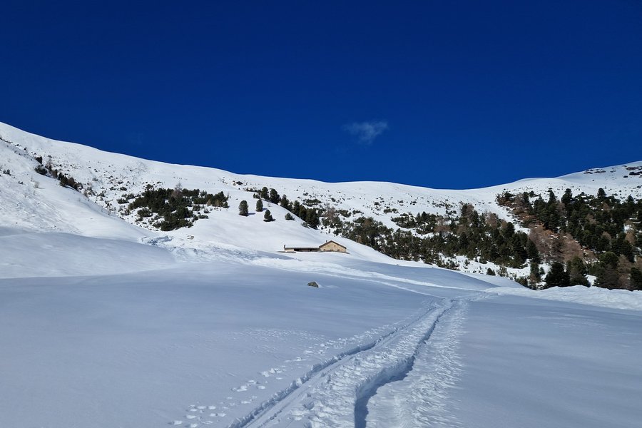 Ski-& Schneeschuhwoche mit Örgelimusik Ski-& Schneeschuhwoche mit Örgelimusik