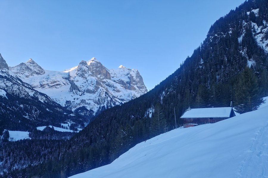 Geniessertage im Haslital Geniessertage im Haslital